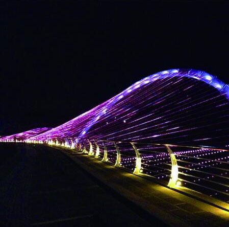 Baili Rhododendron Bridge in Guizhou
