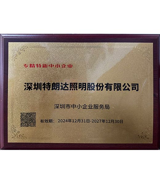 Specialized, refined, unique, and innovative small and medium-sized enterprises